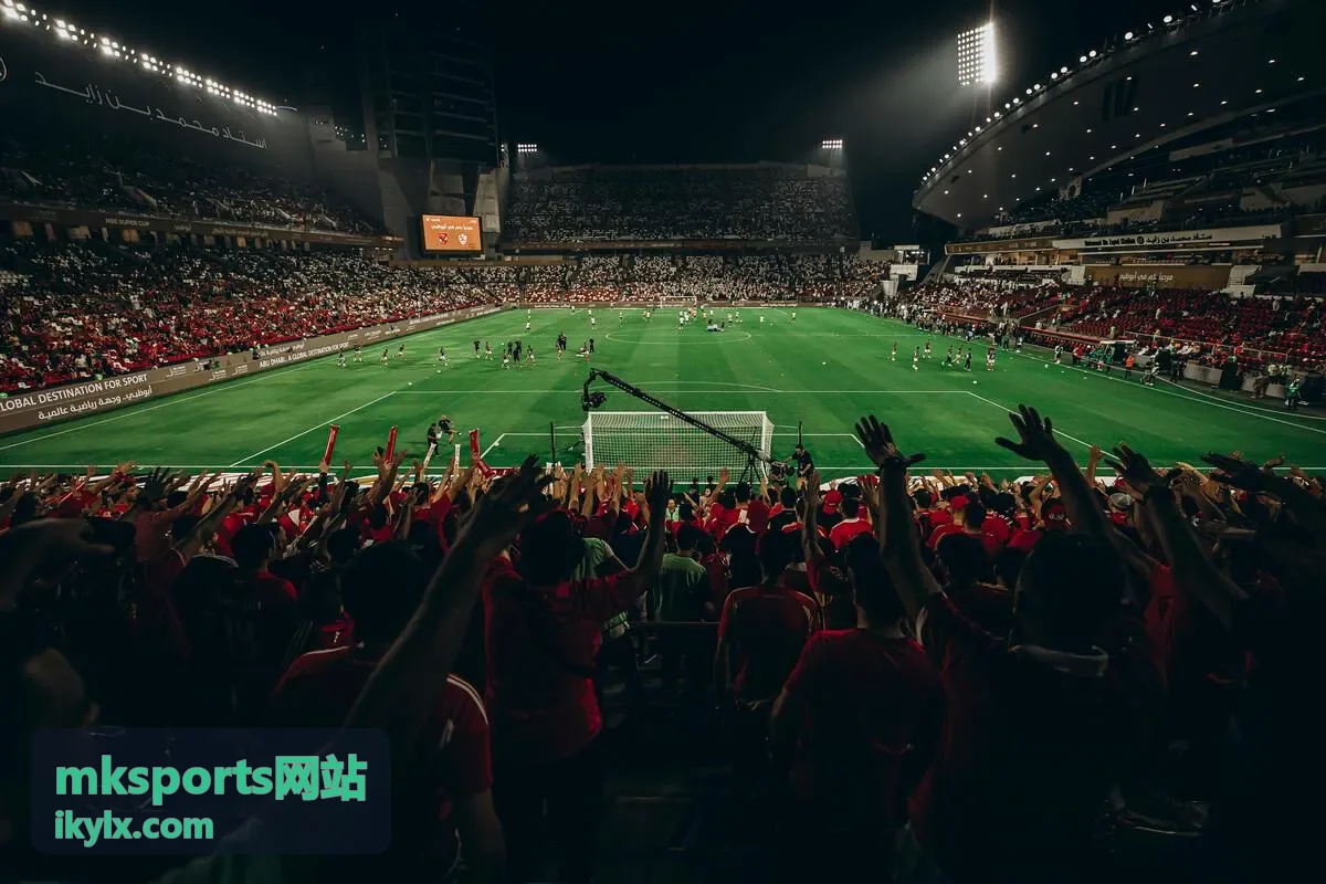 mksports网站团队运动器材选购参考